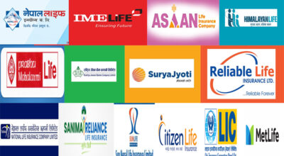 Insurance Companies, Nepali Bima Bazar, Insurance Policy